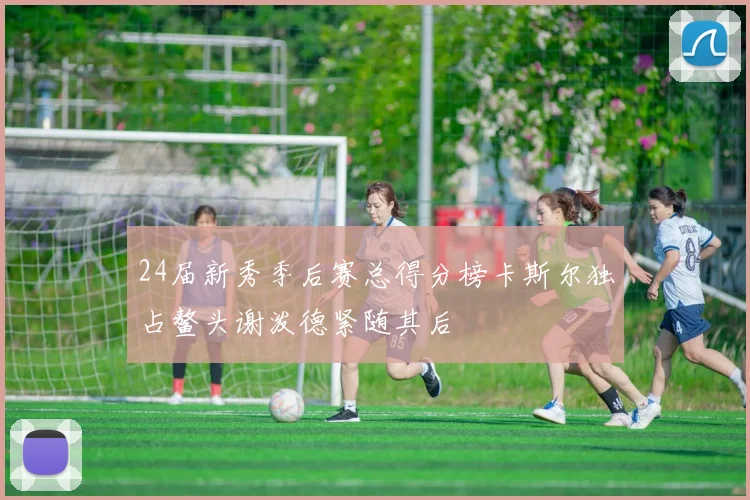 24届新秀季后赛总得分榜卡斯尔独占鳌头谢泼德紧随其后